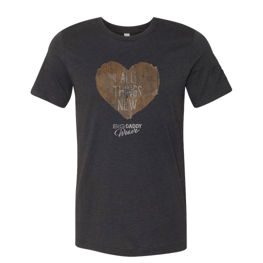 ALL THINGS NEW TEE